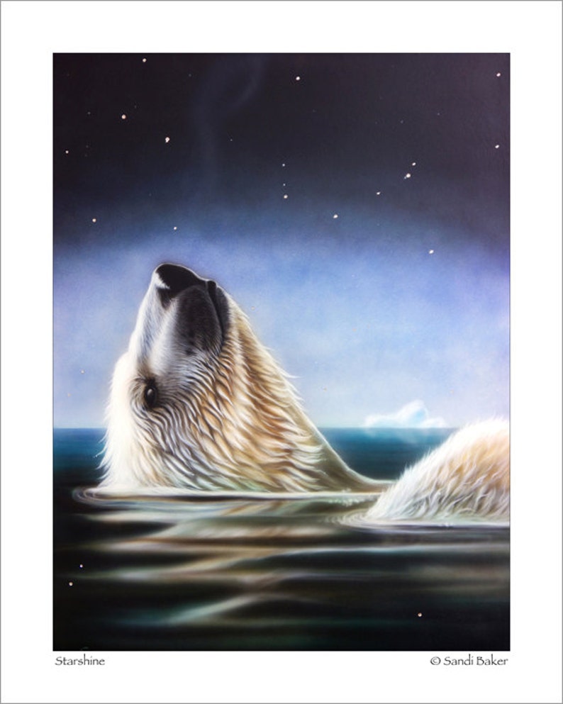 May include: A painting of a polar bear in water, gazing upwards at a starry night sky. The bear's fur is white and cream, with the water reflecting the night sky. The painting is signed "Starshine" and "Sandi Baker".