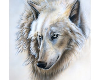 White Wolf Art Print - "Arctic White" © Sandi Baker