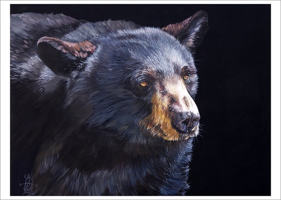 Sunrise Bear - Note Cards Included 4 5x7 Black Bear Note Card Set