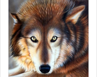 Wolf Art Print - "Apparition" © Sandi Baker