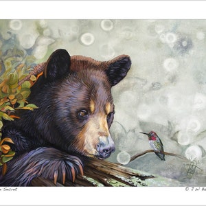 Collectible Bear & Hummingbird Artwork - &quot;The Secret&quot; - Wildlife Art Reproduction