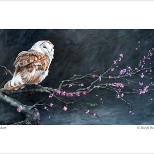 Owl Art Print - &quot;Wisdom&quot; © Sandi Baker