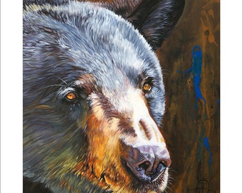 Collectible Black Bear Portrait "Black Bear the Messenger" - Wildlife Art Bear Print