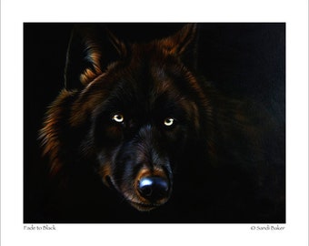 Black Wolf Art Print - "Fade to Black" © Sandi Baker