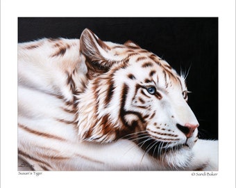 White Tiger Art Print by Sandi Baker