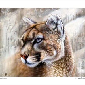 5x7 Note Card Set - &quot;Catamount&quot; - (4) Note Cards Included