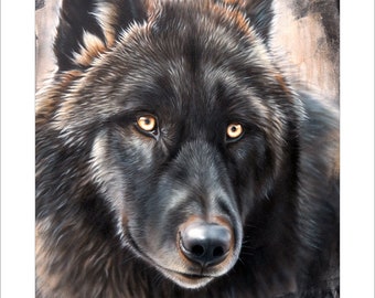 Black Wolf Art Print - "The Black Wolf" © Sandi Baker