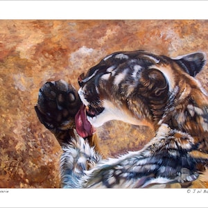 Cougar Print - “Reverie” - Wildlife Art Reproduction
