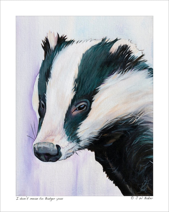 Collectible Badger Art Print I Don't Mean to Badger You Wildlife Art  Reproduction - Etsy UK
