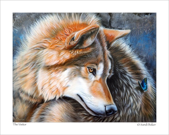 Wolf and Butterfly Art Print - the Visitor © Sandi Baker - Etsy