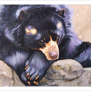 May include: A painting of a black and brown bear with a white patch on its chest, resting its head on a rock. The bear has a sad expression on its face. The background is a light brown color.