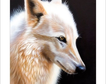 Wolf Art Print - "Rose" © Sandi Baker