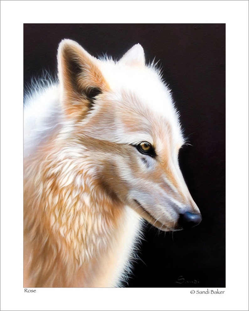 Wolf Art Print Rose © Sandi Baker image 1