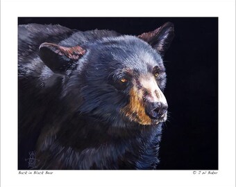 Set di biglietti d'auguri 5x7 - "Back in Black Bear" - (4) biglietti d'auguri inclusi