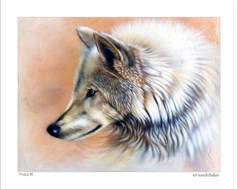 Wolf Art Print - "Trace III" © Sandi Baker