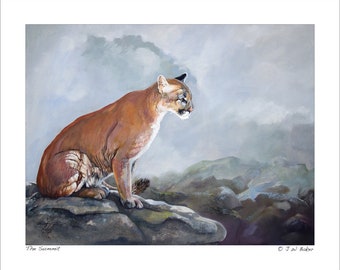 マウンテンライオン、クーガー、モンタナ州の野生動物、ビッグフット