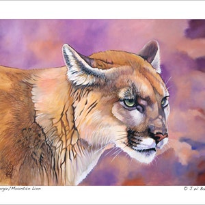 Cougar Wildlife Art Print - Cougar / Mountain Lion - Art Reproduction