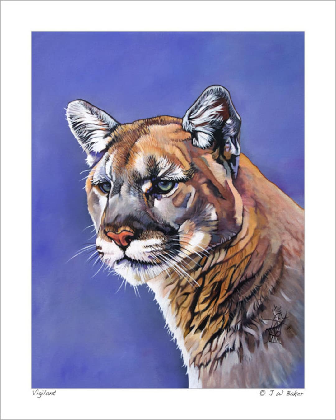 Mountain Lion Art Print: "vigilant" Wildlife Reproduction - Etsy