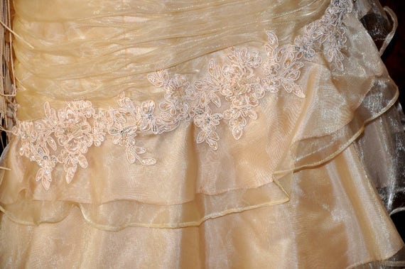 Vintage Formal Gown, Champagne Evening Gown, Gold… - image 3