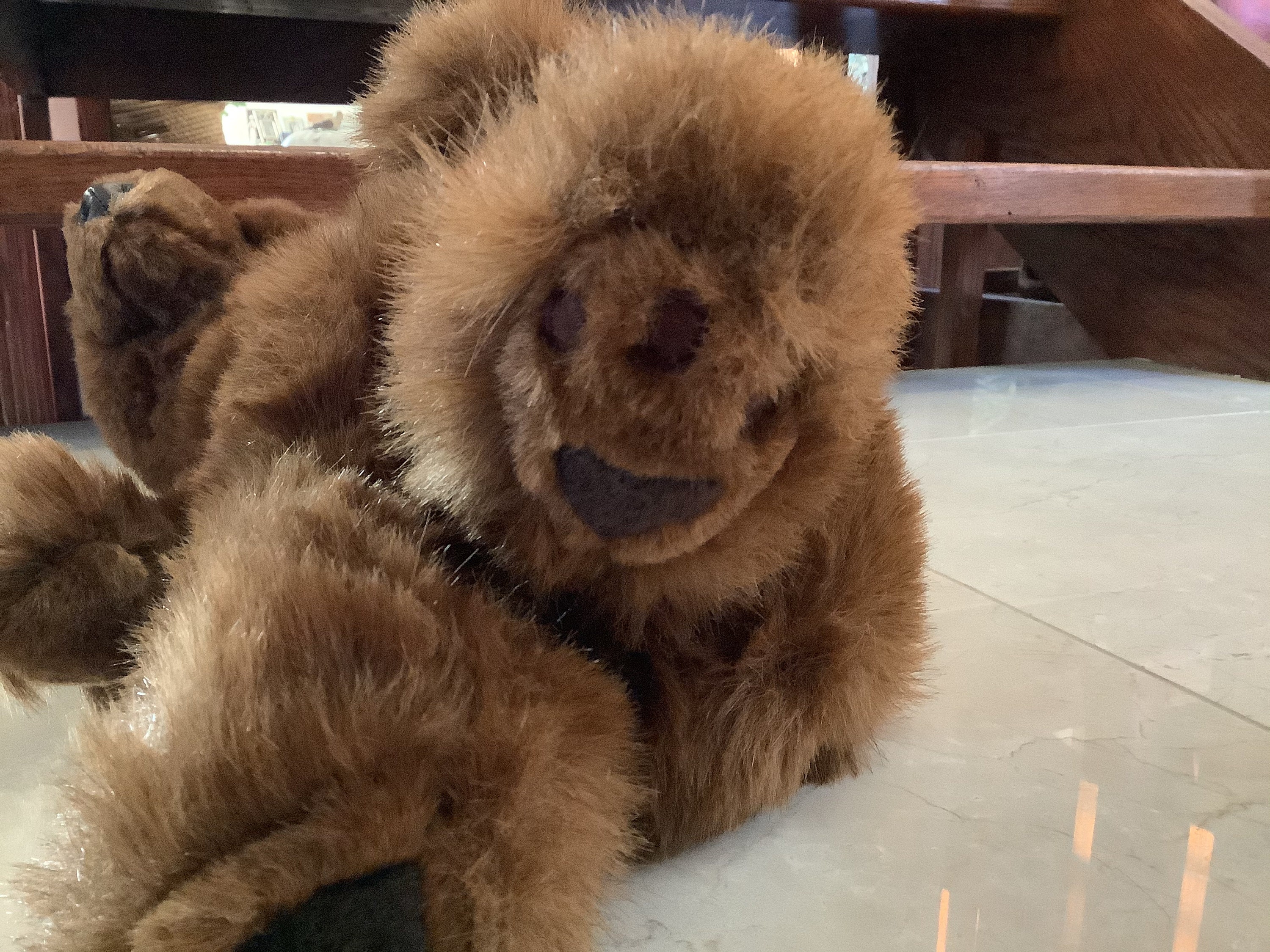 kodiak bear plush toy