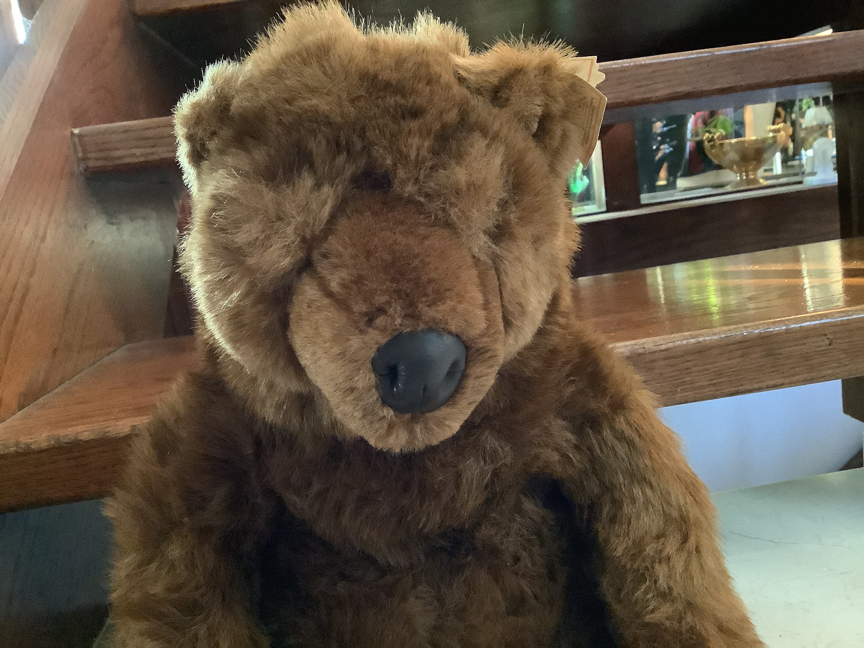 kodiak bear plush toy