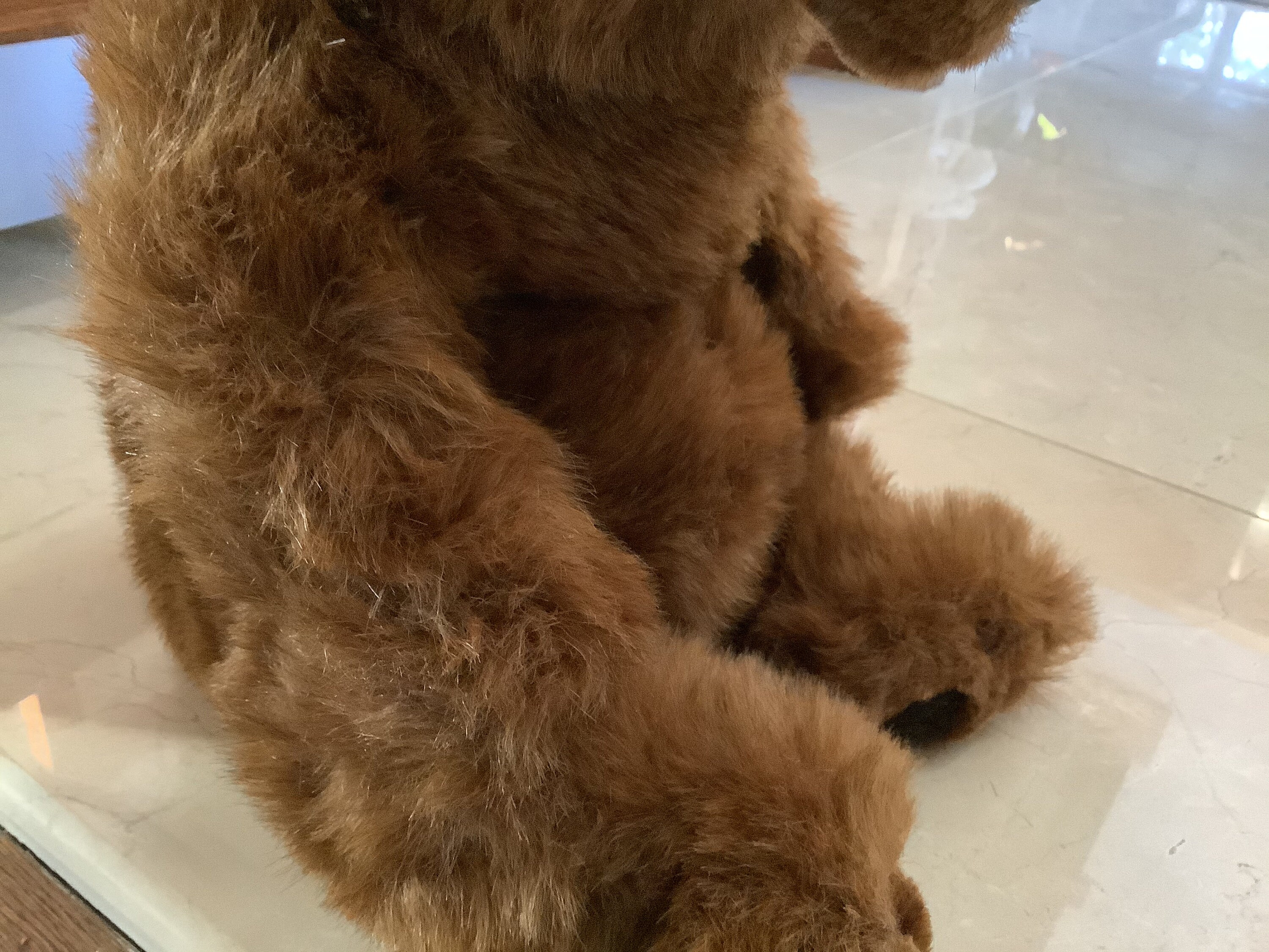 kodiak bear plush toy
