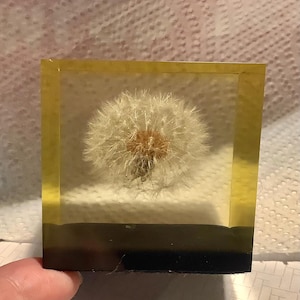 Vintage Dandelion Flower Lucite Cube Paperweight by Gumps USA 1960s