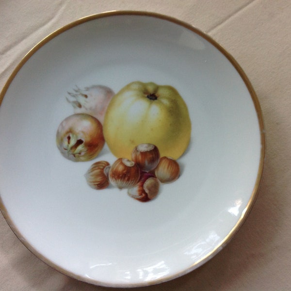 Vintage Thomas Bavaria Plate Apple and Nuts Gold Rim 3206