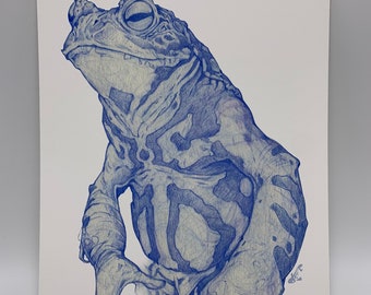 Toad Sketch Art Print by Dela Longfish 8x10 and 5x7 inches