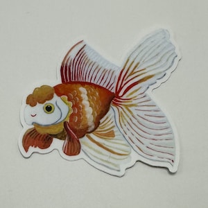 May include: A watercolor illustration of a goldfish with red, white, and orange scales. The goldfish is swimming with its fins spread out.