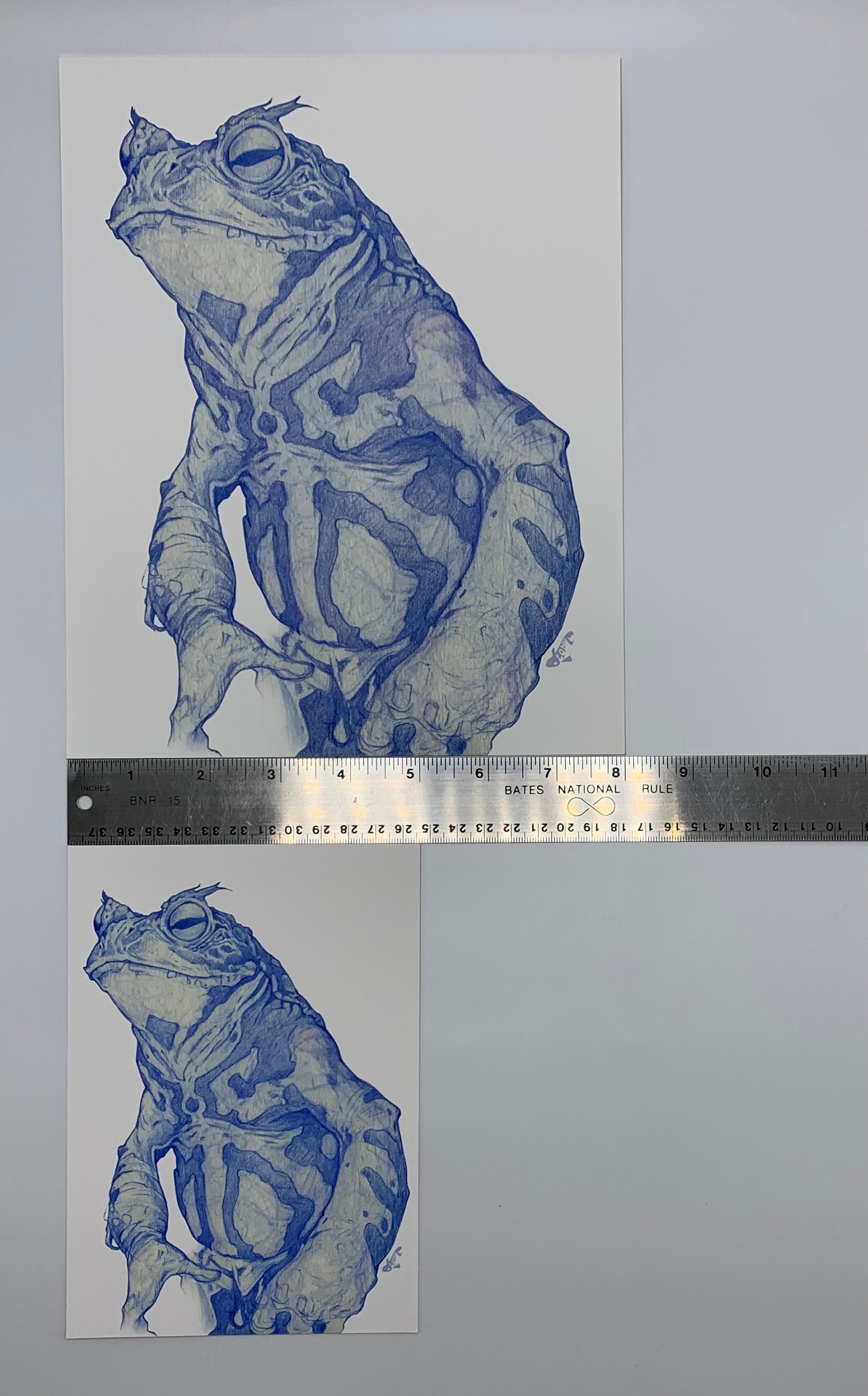 Toad Sketch Art Print by Dela Longfish 8x10 and 5x7 Inches - Etsy