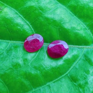 Op de afbeelding: Twee ovaal geslepen, gefacetteerde robijn edelstenen met een dieprode tint, liggend op een levendig groen blad. De edelstenen hebben een gepolijst oppervlak dat licht reflecteert. De textuur en nerven van het blad zijn zichtbaar.