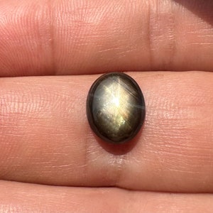 以下が含まれることがあります： 金色に輝く黒いスターサファイアの宝石。楕円形の宝石はカボションカットされています。