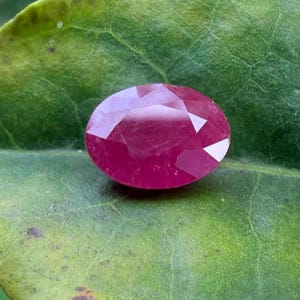 May include: A faceted, oval-shaped ruby gemstone, displaying a deep red hue, rests on a textured green leaf. The gemstone's cut reveals multiple facets, reflecting light. The leaf's surface shows natural imperfections, creating a contrast with the gem's polished appearance.