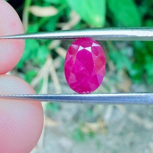 以下が含まれることがあります： ピンセットで保持された、ファセット加工された楕円形のルビーの宝石。 ルビーは鮮やかで深いピンク色で、複数のファセットが光を捉えています。 背景はぼやけた緑の葉です。