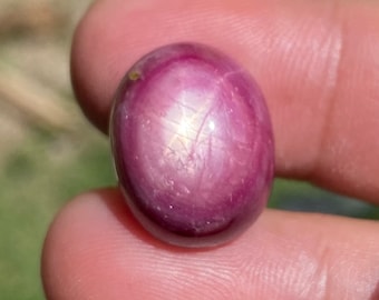 25.80 Carati Rubino Naturale Stella Zaffiro (Non trattato), Zaffiro Birmano