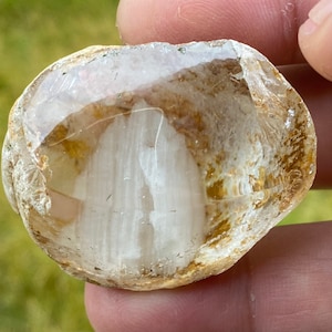 254.50 Carats Natural Garden Quartz Burmese