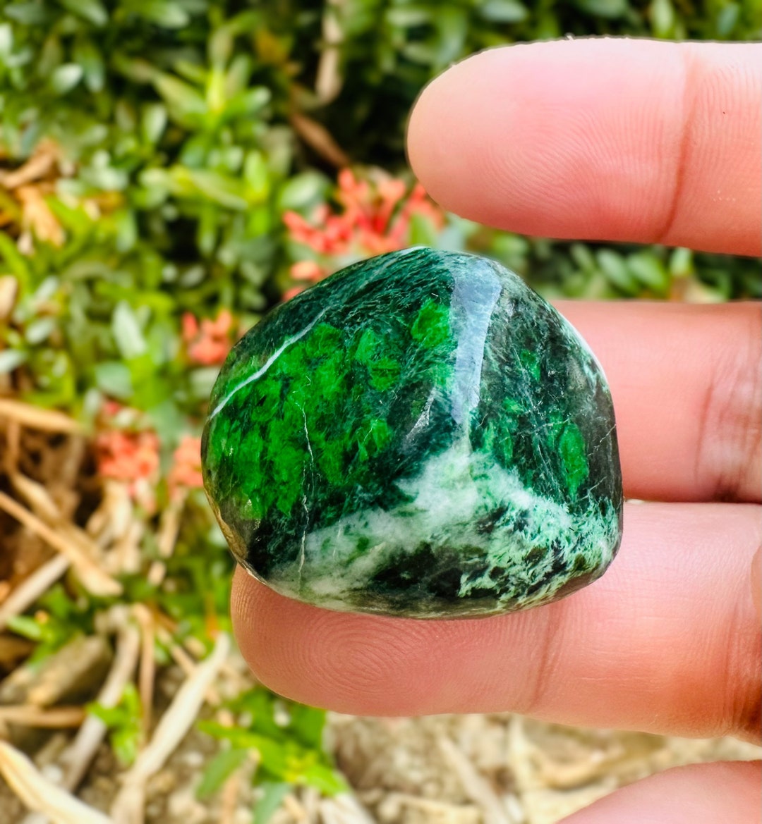 Kosmochlor Maw Sit Sit Jade Tumble, Burma Green (30x25mm) - Etsy