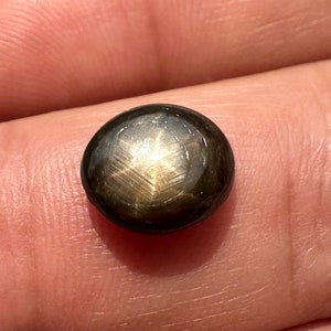 4.70 Carats Natural Black Star Sapphire (untreated)