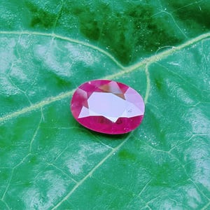 Puede incluir: Una gema de rubí facetada, de corte ovalado, descansa sobre una hoja verde vibrante. El rubí muestra un tono rosa intenso con múltiples facetas que reflejan la luz. La textura y las vetas de la hoja son claramente visibles.