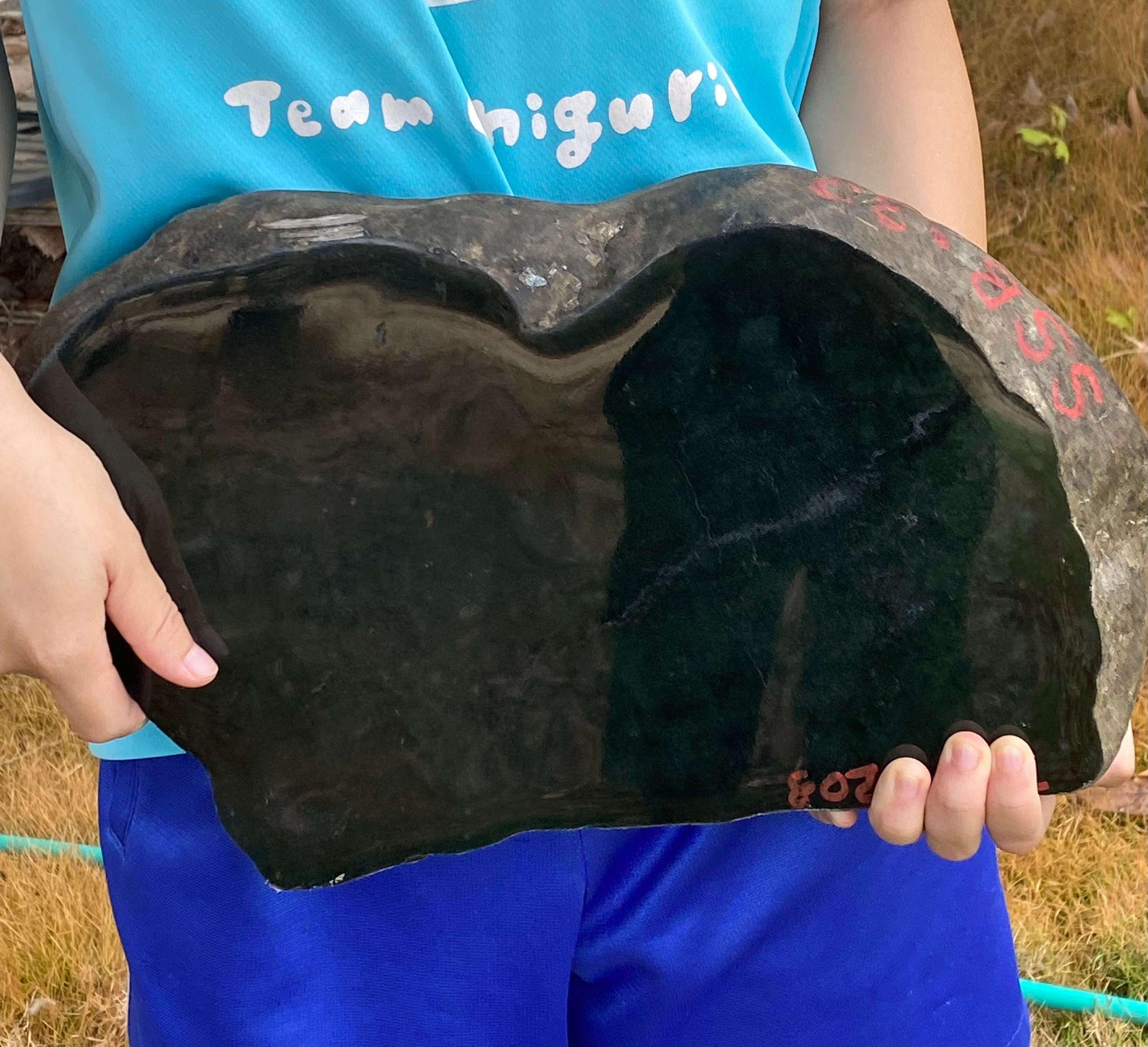 12500 Grams Natural Black Jade Jadeite Burmese translucent Black Omphacite Jadeite Jade untreated Etsy UK