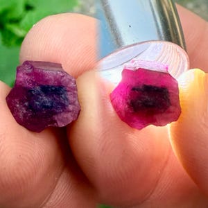 7.80 Carats Natural Ruby Rough Mong Hsu Burmese (Untreated),Ruby with blue core