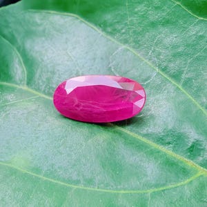 May include: A vibrant red, oval-cut ruby gemstone sits on a large green leaf. The gemstone's polished surface reflects light, highlighting its clarity and brilliance. The leaf's texture and veins provide a natural backdrop, enhancing the ruby's colour.