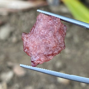 31.50 Carats Natural Red Spinel Rare Rough Burmese Mogok (Untreated)