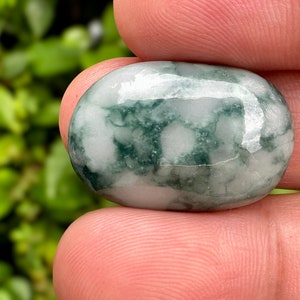 24.50 Carats Natural Green Jade Jadeite Translucent Burma (untreated )