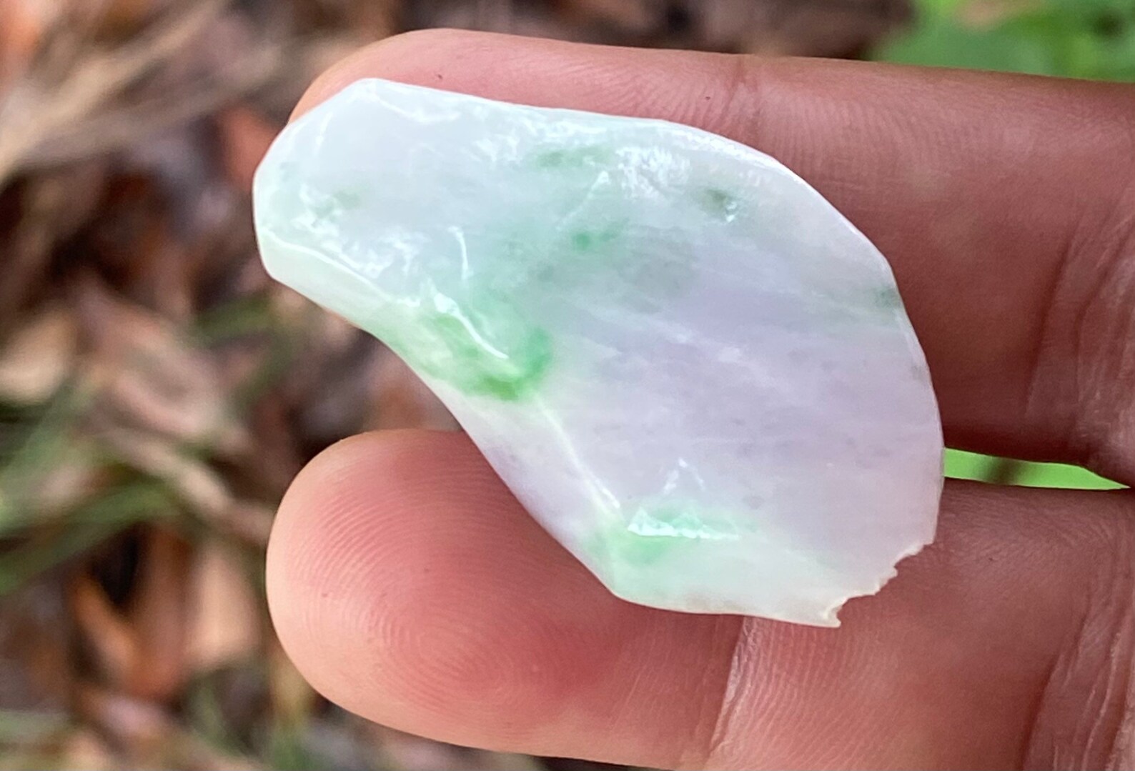 67.50 Carats Natural Green Jade Jadeite Rough Translucent Etsy