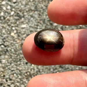 11.40 Carats Natural Black Star Sapphire (untreated)
