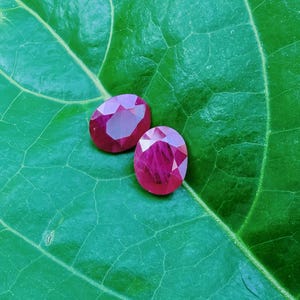 Puede incluir: Dos gemas de rubí ovaladas y facetadas, de un tono rojo intenso, se exhiben sobre una vibrante hoja verde. Las gemas tienen una superficie pulida y reflectante, mostrando su estructura interna y brillo.