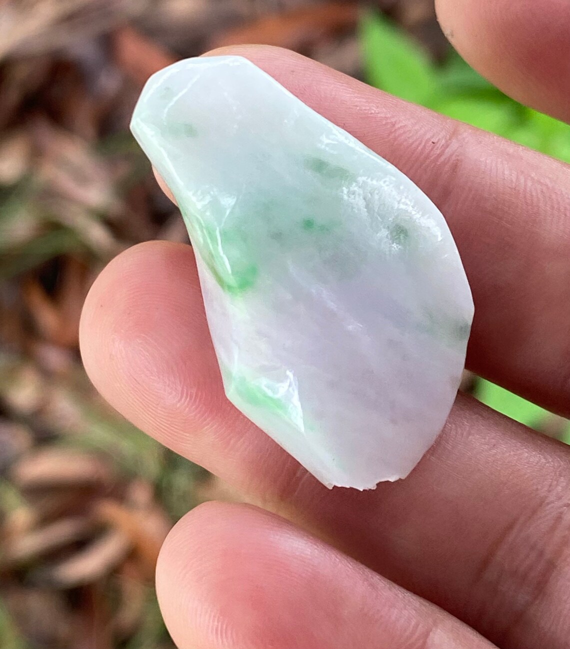 67.50 Carats Natural Green Jade Jadeite Rough Translucent Etsy