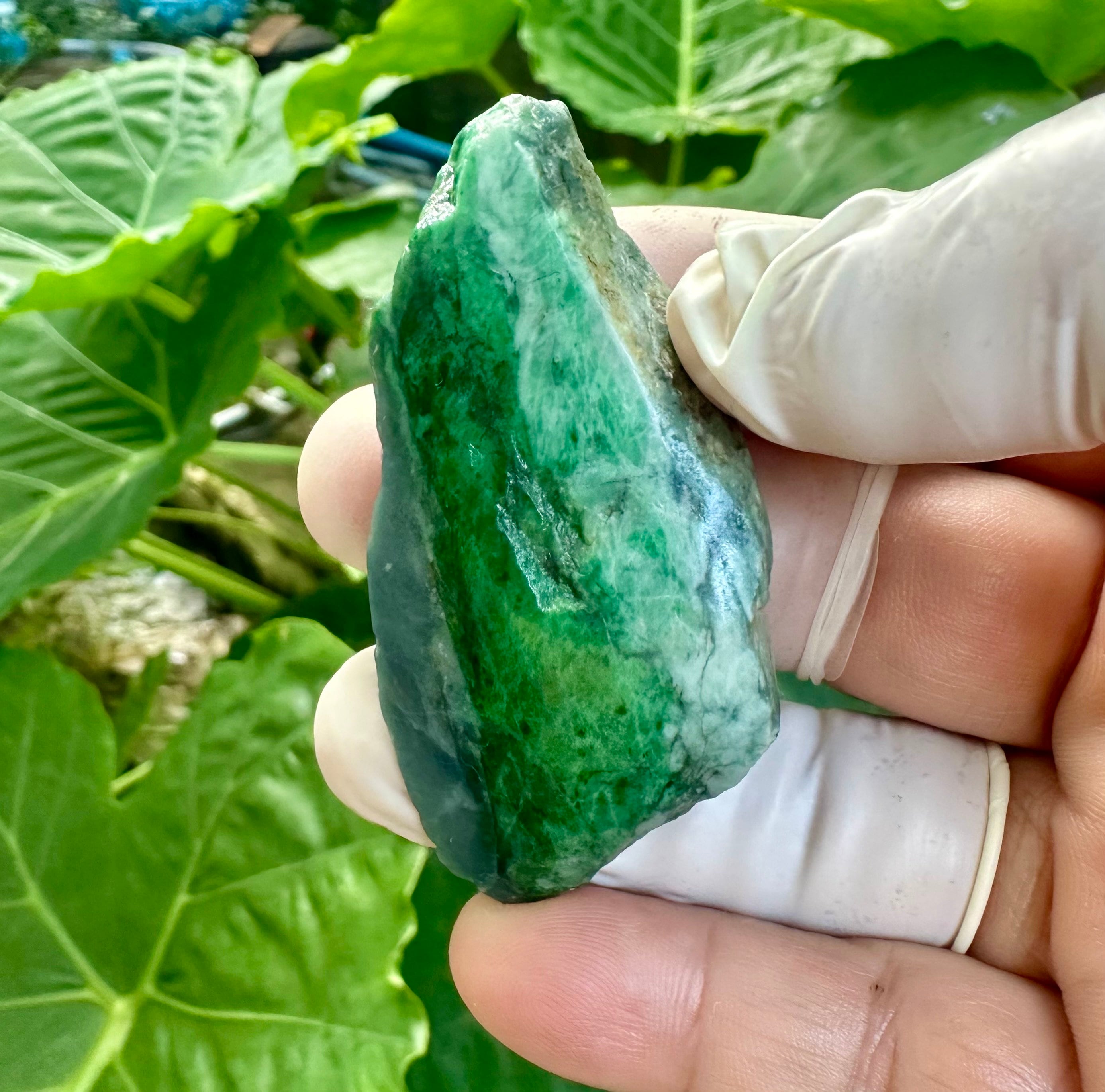 Rough Bright Green Jade Rough Green Jadeite, image size:2774x2742